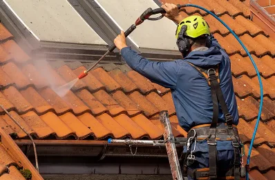 Démoussage et hydrofuge de toiture à Taulis